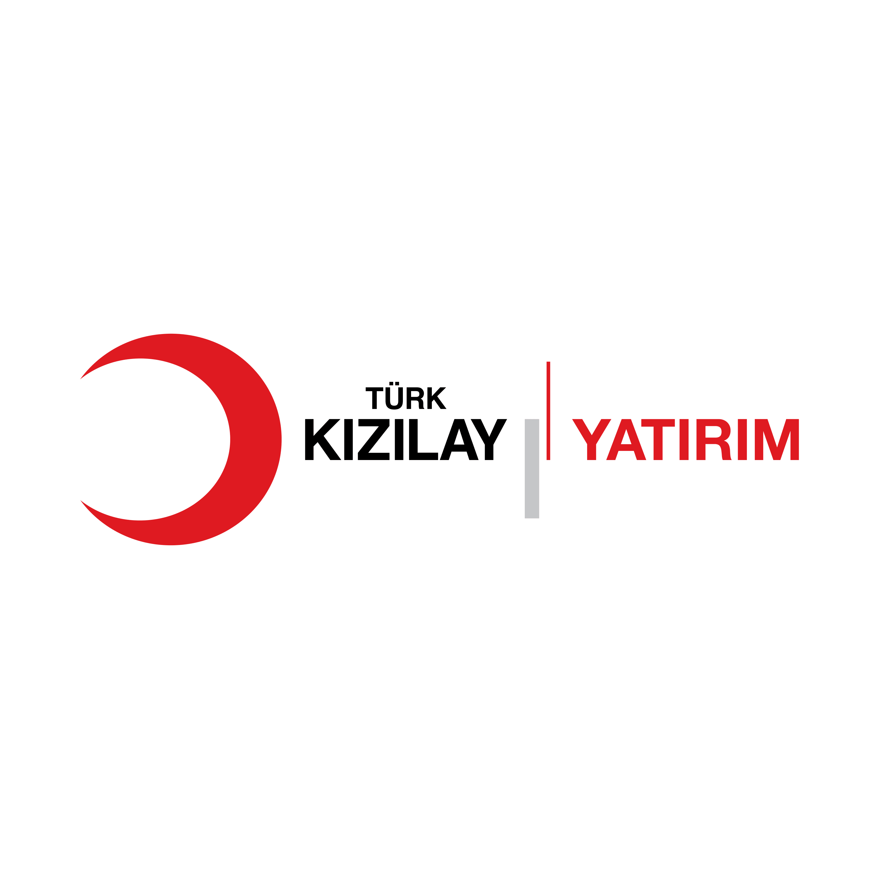 Logo 12